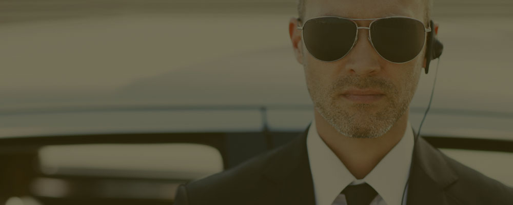 Fenice Security